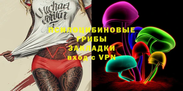 индика Приозерск