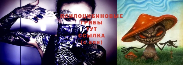 хмурый Абинск