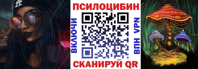 Галлюциногенные грибы Psilocybe Кизилюрт